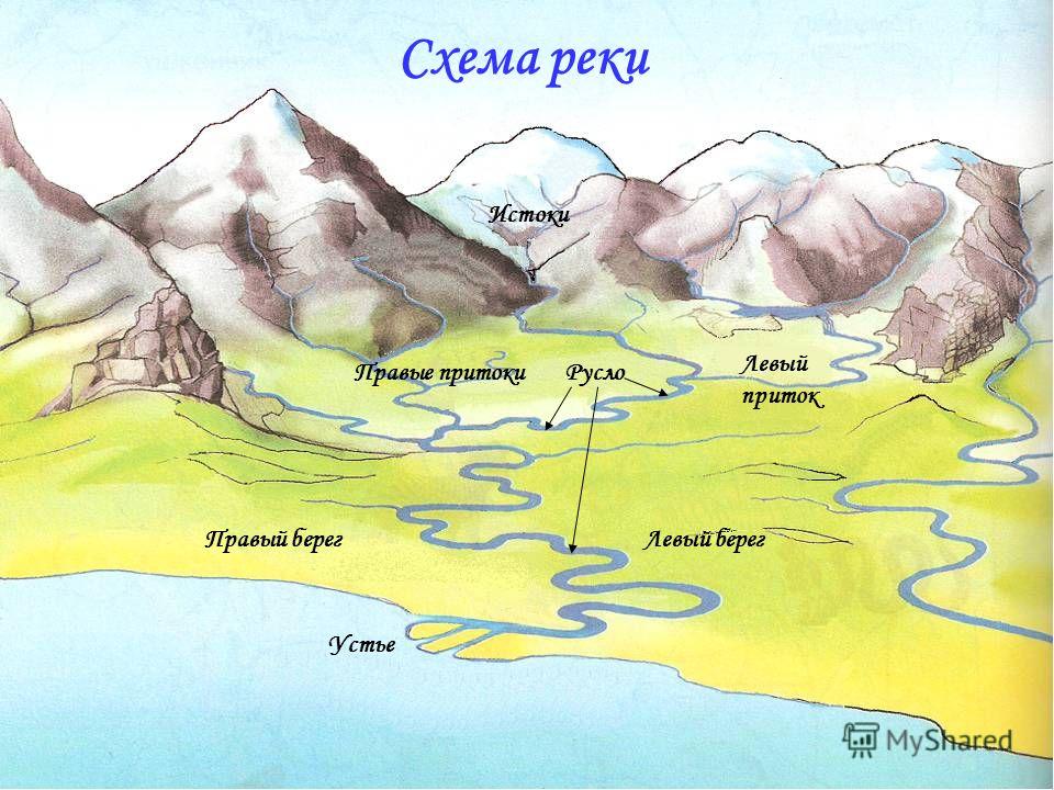 Окружающий мир схема реки. Река Исток русло схема. Схема реки Исток русло Устье. Нарисовать схему реки. Истоки реки схема.