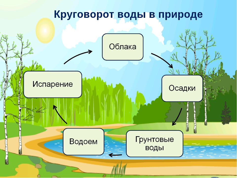 Использование воды картинки