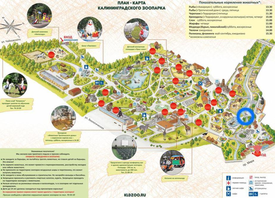 Карта зоопарка. Зоопарк Калининград схема. Карта зоопарка Калининград. План зоопарка Калининград. Карта Калининградского зоопарка.